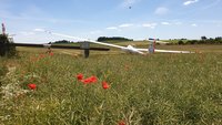 Segelflieger auf der Piste. Im Vordergrund Mohnblumen.